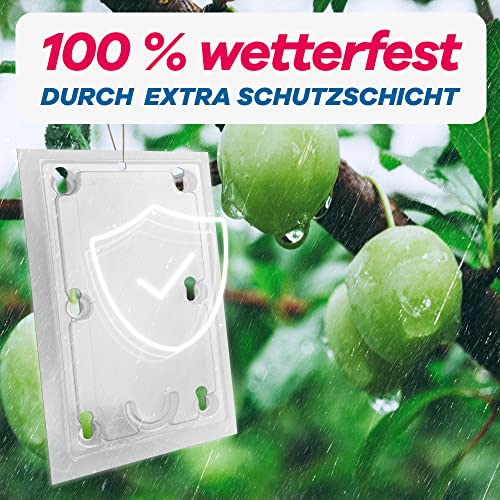 Bio Pflaumenwicklerfalle Pheromonfalle [2 Stück] für gesunde und wurmfreie Pflaumen - Attraktive Pflaumenmadenfalle sichert die Pflaumenbaum Ernte - Insektizidfrei & unauffällig für Plantagen 5