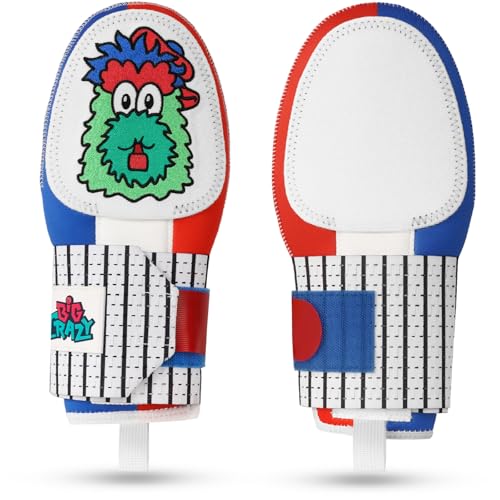 Big Crazy XCh~bg [X&lp 싅 \tg{[ XCh~bg 싅ANZT[ ی _ ϋv 藘p (Phanatic)