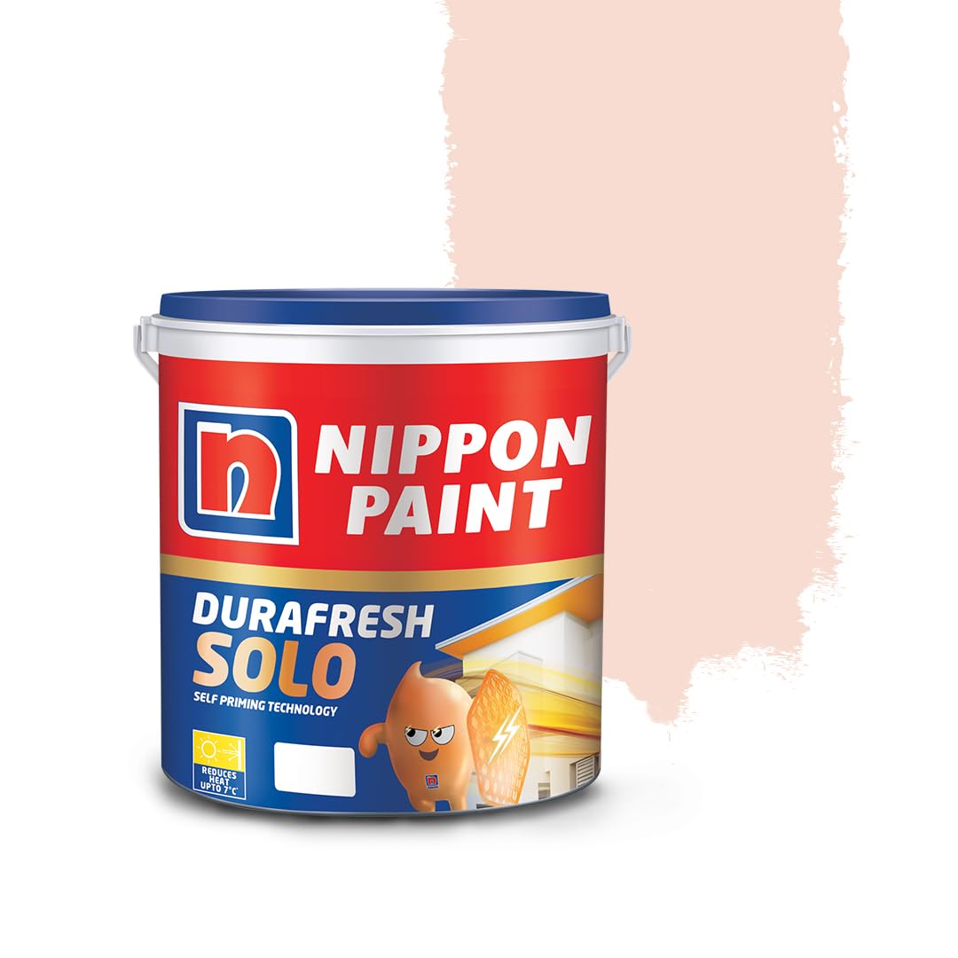 Nippon Paint Durafresh Solo Exterior Emulsion Paint (Sweet Dreams, 10 L) (B0C5D98TPH) Amazon Price History, Amazon Price Tracker