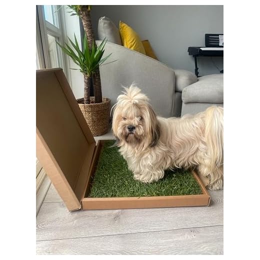 Real Grass Dog Toilet - Eco-Friendly Option