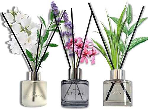 Ahuva Reed Diffuser Set Of 3 (1.7 Fl Oz Each)- Oil Diffuser & Reed Diffuser Sticks, Home Decor & Office Decor, Fragrance And Gifts #TOP24