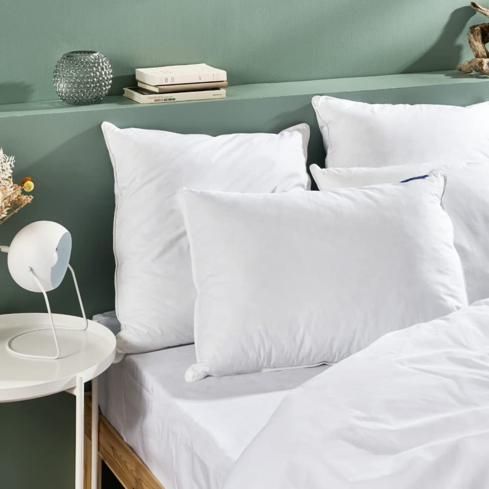 bedstory oreiller 50x70 lot de 2