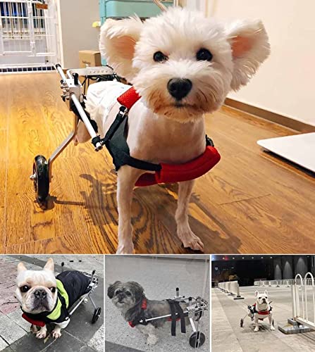 Silla de ruedas para perros con discapacidad: carrito plegable mediano 4