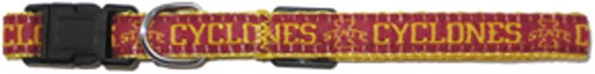 Mirage Pet Products Iowa State Cyclone Collar for Dogs and Cats, Medium