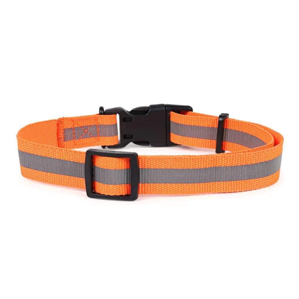 See full amazon price history chart for Happy4pets Dog Collar | Reflective Dog Neck Belt Soft Breathable Mesh Collar for Dogs with Adjustable Buckle | Comfort-fit | Suitable for Medium & Large Dogs | (Large) (Orange, Pack of 1) Happy4pets Dog Collar | Reflective Dog Neck Belt Soft Breathable Mesh Collar for Dogs with Adjustable Buckle | Comfort-fit | Suitable for Medium & Large Dogs | (Large) (Orange, Pack of 1) (B0BZQB2SYK) Amazon Price History, Amazon Price Tracker