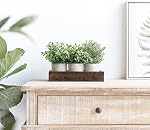 Dahey 3 Pack Mini Potted Artificial Eucalyptus Fake Plants with Wood Tray Centerpiece Table Decorations, Farmhouse Pulp Flower Pots Greenery Home Decor for Coffee Table Dining Room Office Kitchen