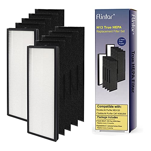 Flintar H13 True HEPA Replacement Filter, Compatible with Eureka NEA120 ...