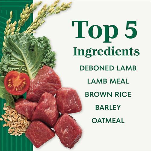 Image of Nutro Natural Choice Large Breed Puppy Dry Dog Food, Lamb, 30 lb