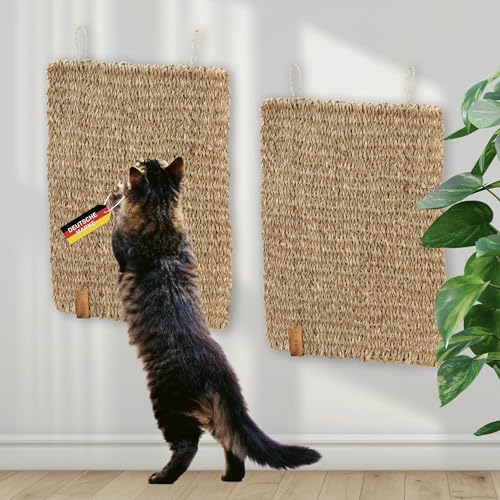 Rohrschneider Kratzmatte Katze handgeflochten aus Naturmaterial Seegras | Kratzbrett zum Schutz von Sofa, Teppich und Anderen Möbeln | Katzen Zubehör für Wand und Fußboden | 40 x 30 x 1 cm | 2er Set