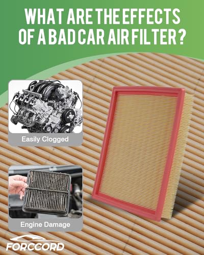 Image of 2-Pack Engine Air Filters for Nissan Pathfinder 2021-2026