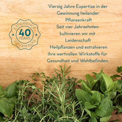 Protum Probiotische Hundepaste 30ml – Präbiotika & Probiotika für Hunde zur Stabilisierung der Darmflora, Unterstützung des Verdauungssystems, schneller Hilfe bei Durchfall Hund für mehr Wohlbefinden