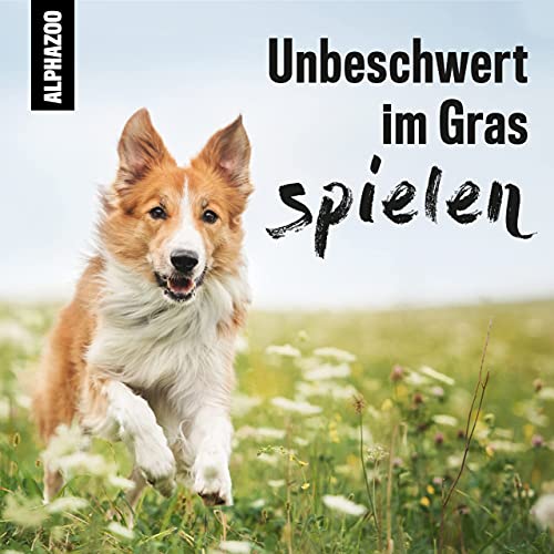 alphazoo Grasmilben-Spray Abgegrast 100 ml – Natürliches Milbenmittel für Hunde & Katzen – Starker Schutz gegen Herbstgrasmilben, Milbenbisse & Parasiten – Juckreiz lindern & Neubefall vorbeugen