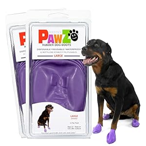 Pawzrubberdogbootsforpawsupto424total2packsof12allweatherdogbootiesforhotpavementsnowmudandrainwaterproofantislipdogsockslargepurple Urban Country Home Decor Pawz rubber dog boots for paws up to 4 24 total 2 packs of 12 all weather dog booties for hot pavement snow mud and rain waterproof anti slip dog socks large purple urban country home decor