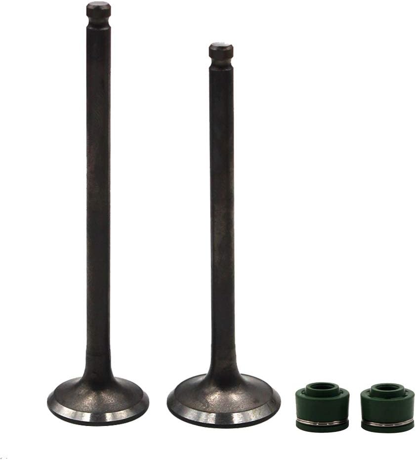 Road Passion Engine Intake & Exhaust Valve stem & Oil seal Replacement for Kawasaki EL250 Eliminator 250/252 /EX250 Ninja 250 /EX250 GPX250R /KLE250 Anhelo