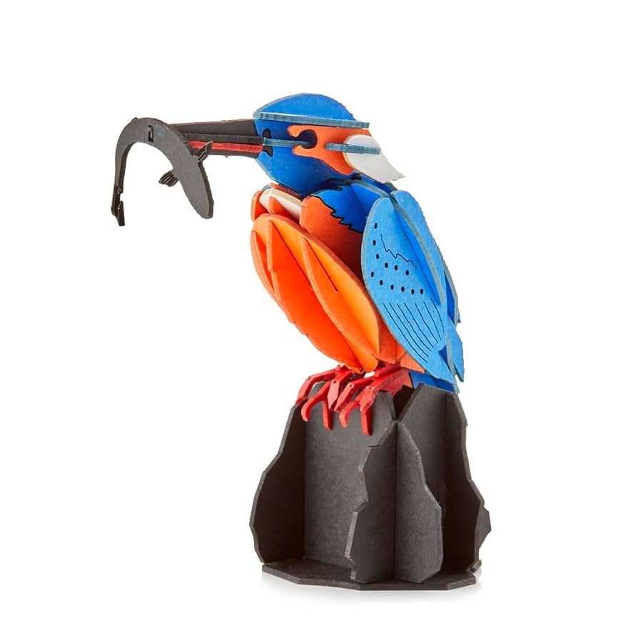 カワセミ Amazon | PazuMe (パズミー) カワセミ 雌 Kingfisher Female 3D