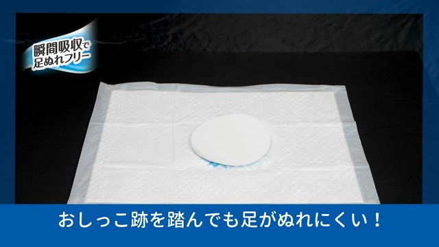 Amazon.co.jp: エリエール Pet キミおもい パワフル消臭シート