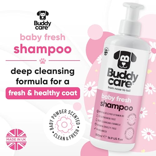 Babyfrisch Hundeshampoo von Buddycare - Shampoo für müffelige Hunde ab 8 Wochen - Baby-Puder-duftendes Welpen-Shampoo mit Aloe Vera und Provitamin B5 (500ml)