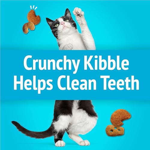 Friskies Purina Party Mix Cat Treats, Lobster & Mac 'N' Cheese, (10) 2.1 oz - image 6