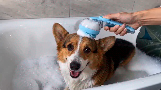 3Pcs Dog Bath Brush, Dog Scrubber for Bath, Dog Shampoo Brush Bubble Maker, Dog Paw Washer, dog grooming Massage Brush with Adjustable Ring Handle, dog accessories for Short & Long Hair -Blue - image 8