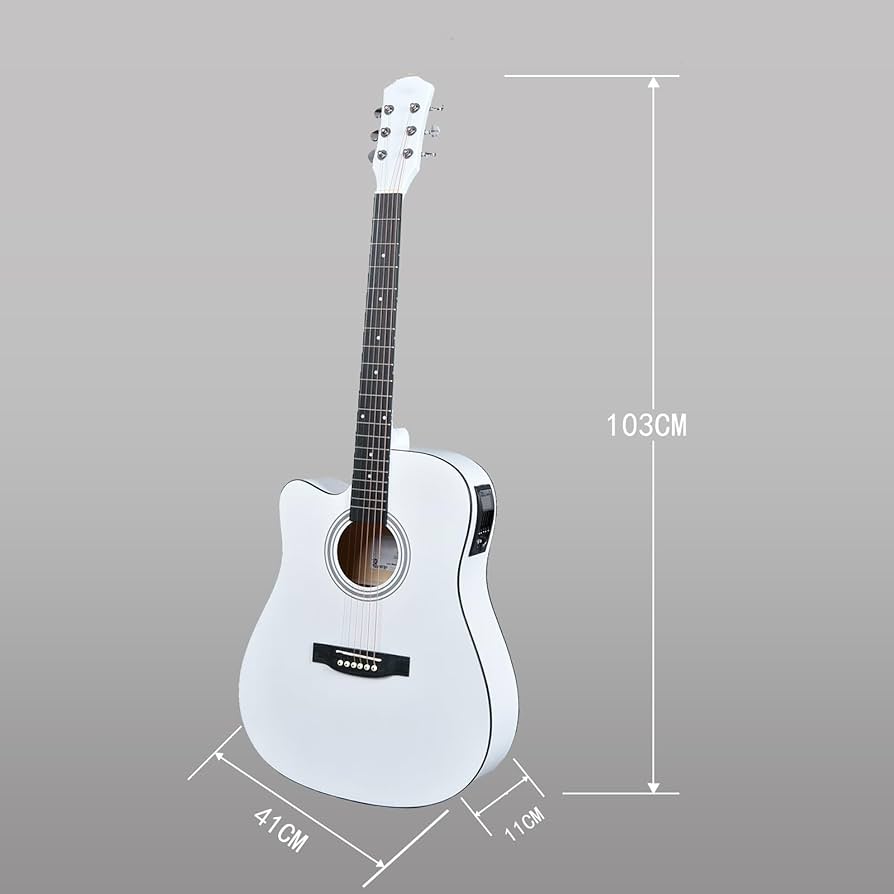 Amazon | Aryari 左利き エレアコギター セット
