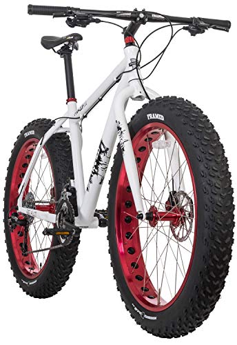 polaris fat tire bike