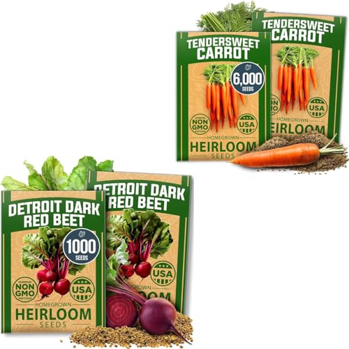 HOME GROWN Carrot & Beet Seeds Bundle – 6000 Tendersweet Carrot + 1000 Detroit Dark Red Beet Seeds – 2 Pack Each – Non-GMO, Heirloom Vegetable Seeds for Outdoor Planting, High Germination