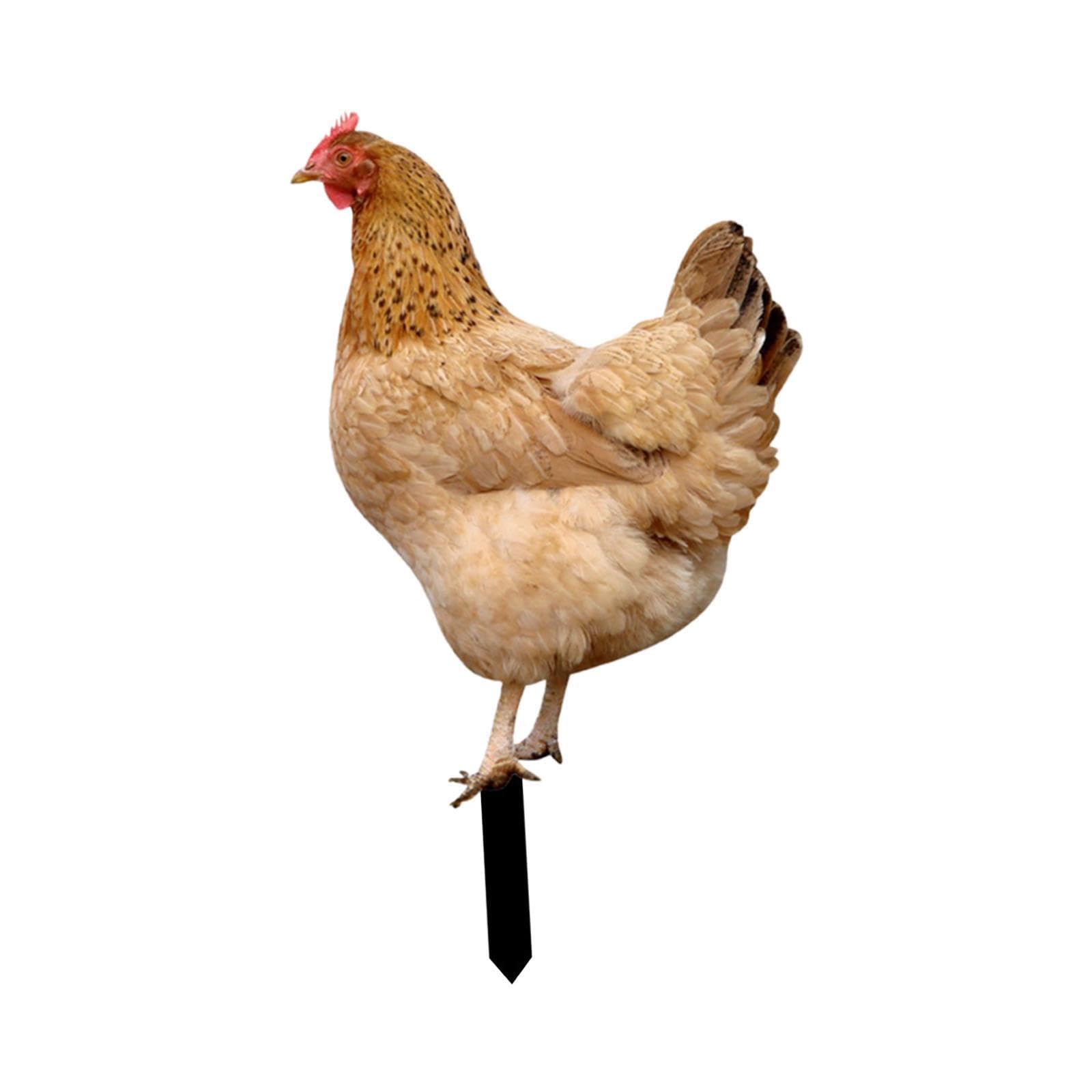 QUXVUIS Chicken Statue Garden Decorations Sign Fine Workmanship Chicken Statue For Outdoor Garden Decor Backyards Animal Stakes Sculpture, Style B