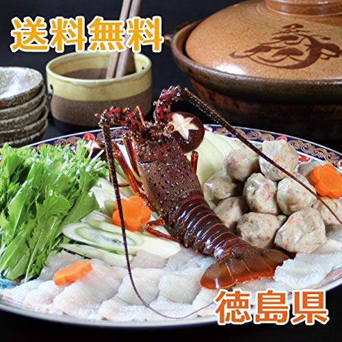 徳島 鱧と伊勢海老の鍋【徳島県】【産地直送】