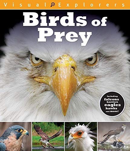 Preisvergleich Produktbild Birds of Prey (Visual Explorers)