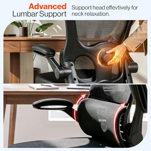 Image of DROGO Aerofly Premium Ergonomic Office Chair for Work from Home, 2D Headrest, High Back Computer Chair with Mesh, Flip-up Armrest, Recline,Adjustable Lumbar Support, Mesh Chair for Office(Black)