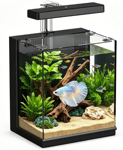 Kit para Aquário de Betta AQUASMITH com Filtro e Iluminação LED, 7,57 L