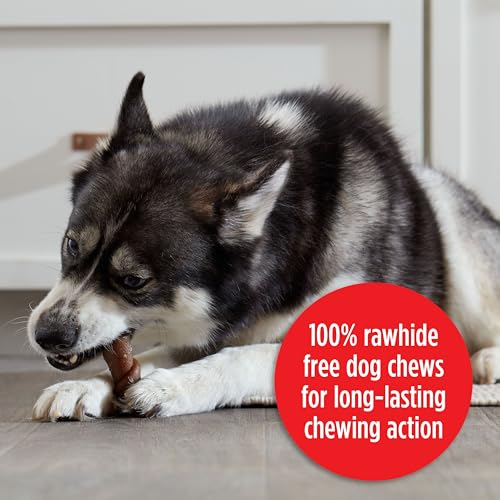 Image of Milk-Bone Flavor Rolls Chicken Doodle Dandy Rawhide Free Dog Treat with Chicken, 5-Count Bag