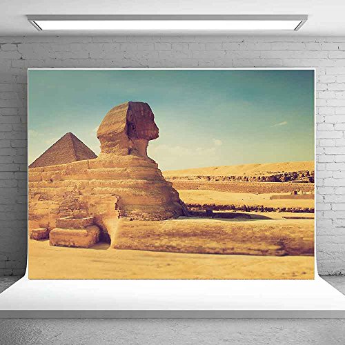 Meetsioy 7X5Ft World Famous Architecture Backdrop Egyptian Sphinx Background Photo Booth Studio Props Theme Party Youtube Backdrop Mt415 #TOP5
