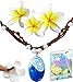 Princess Charms MOANA NECKLACE 3 Flower Clips & E-Book