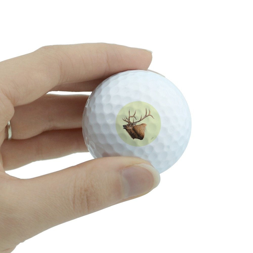 GRAPHICS & MORE Elk Head Hunting Novelty Golf Balls 3 Pack