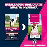 Eukanuba B0FDLBVQP8 lato 2