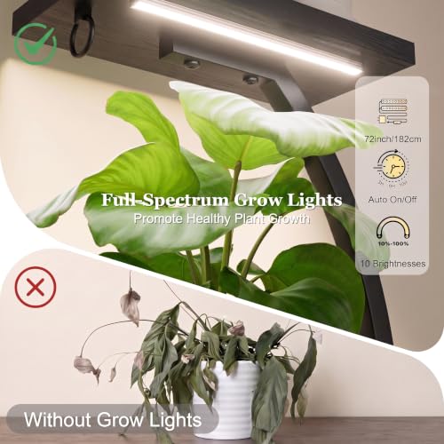 Image of BACEKOLL Plant Stand with Grow Light, 2 Pack Tall Indoor Plant Shelf 6 Tier