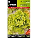 Semillas de Lechuga Trocadero