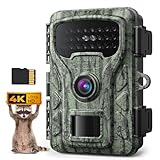 Caytail Camera de Chasse 4K 48MP: Caméra de Chasse Pas de WiFi avec...