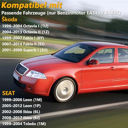 EVRBUL Öleinfülldeckel mit Dichtung Kompatibel mit VW Golf IV V VI Passat B5 B6 Audi A3 A4 Skoda Octavia Seat Leon | Nur für Benzinmotor EA113 EA827 | Ersatz 06A103485F 06A103485C
