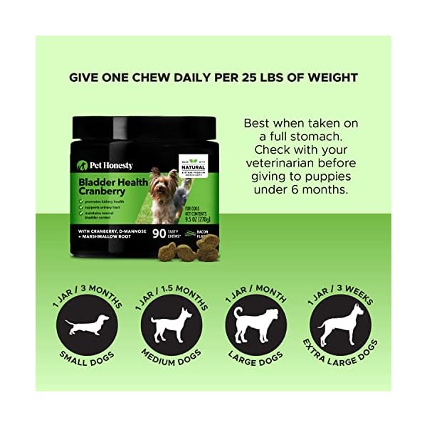 PetHonesty-Cranberry-Bladder-Health-for-Dogs–Contains-Active-Ingredients-Cranberry-D-Mannose-to-Help-Support-Dog-Urinary-Tract-Health-Dog-Bladder-Support-Kidney-Support-for-Dogs-Bacon PetHonesty-Cranberry-Bladder-Health-for-Dogs–Contains-Active-Ingredients-Cranberry-D-Mannose-to-Help-Support-Dog-Urinary-Tract-Health-Dog-Bladder-Support-Kidney-Support-for-Dogs-Bacon