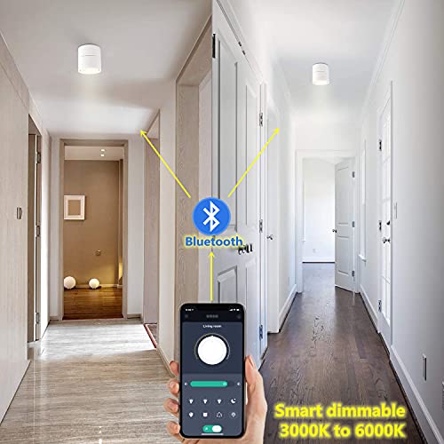 Image of Smart LED Dimmable Ceiling Spotlight - 360Adjustable Indoor Surface Mounted 10W COB Lighting -Stepless Dimming Warm Light 3000K to Cool White 6000K Ceiling Downlight-Wall Swivel Lamp (White)