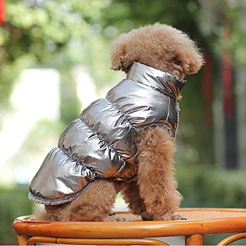 Herbst Winter Haustier Hunde Katzen Daunenjacke, Hund Mantel Verdickung, Wasserdicht Fleece gefüttert Warme Winterjacke Hunde Bekleidung für Teddy, Yorkshire Terrier, Chihuahua, Pommern Silber 3XL
