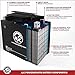 AJC Battery Compatible with Baja Motorsports Baja Reaction 150 Go-Kart 150CC ATV Battery