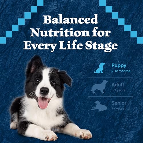 Blue Buffalo Wilderness Rocky Mountain Recipe Puppy Dry Dog Food, 4.5 lb - image 9