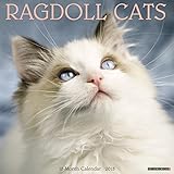 Ragdoll Cats 2018 Calendar