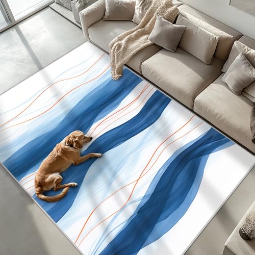 Blue Minimalist Living Room Rug 4x6 Modern Abstract Area Rugs,