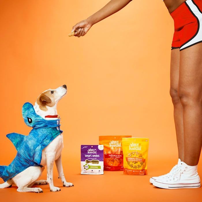 WholeHearted Culinary Cuts Chicken Recipe Jerky Dog Treats 16 oz.