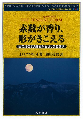 素数が香り、形がきこえる-目でみる2次形式
