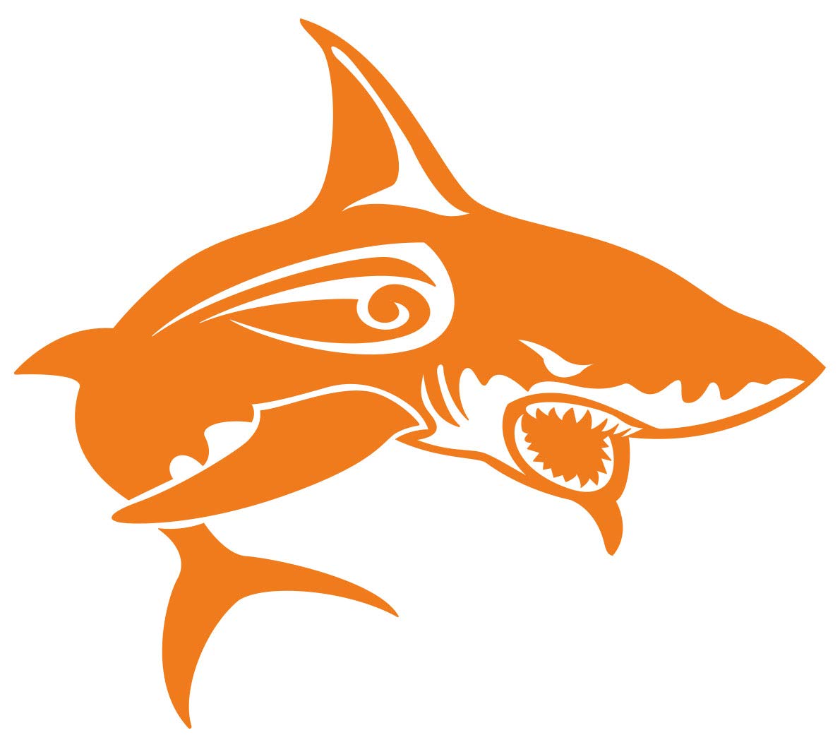 Amazon.co.jp: カッティングステッカー シャーク shark サメ 鮫